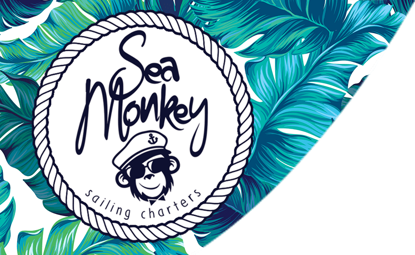 Sea Monkey Sailing